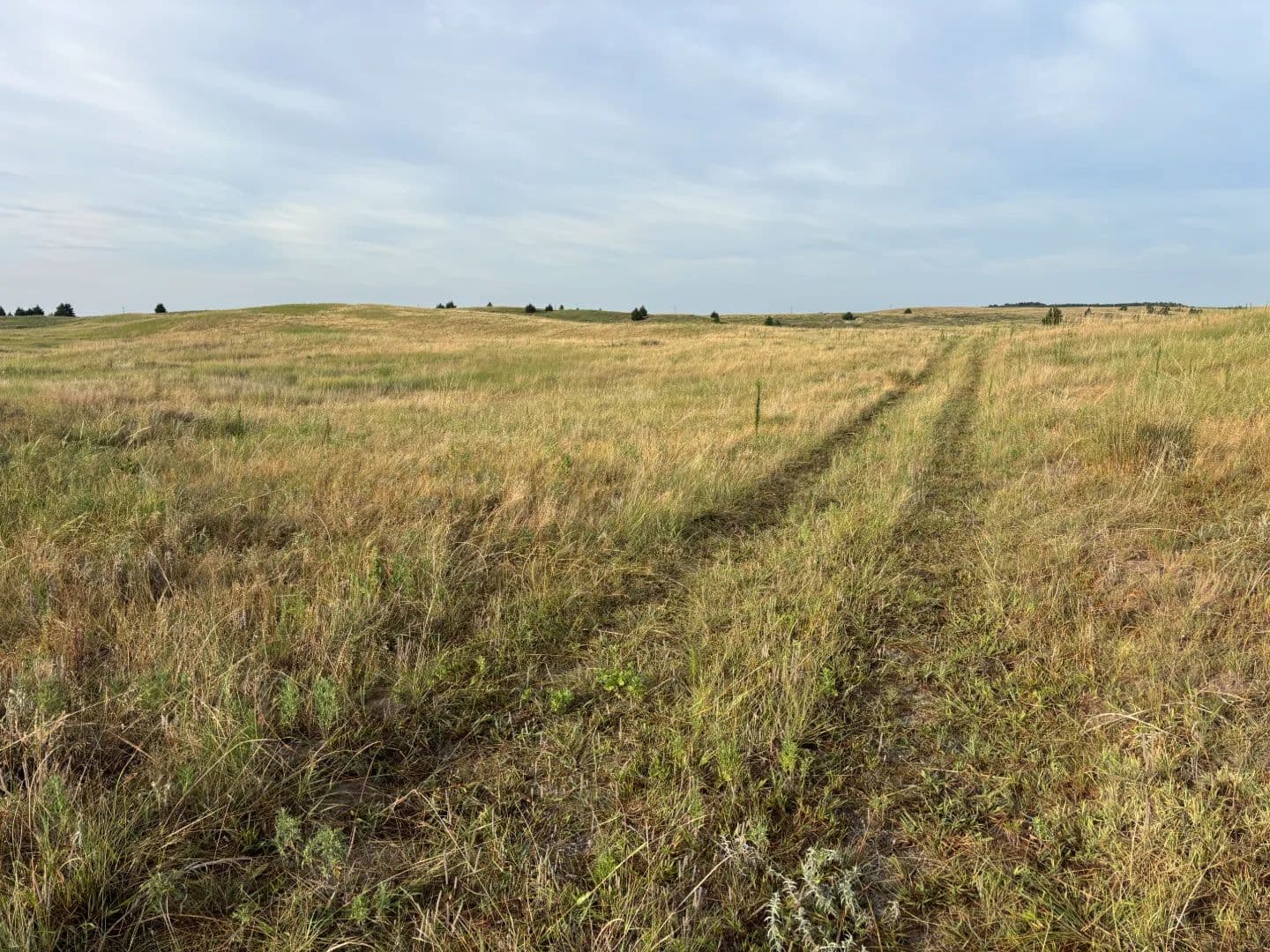 South Homestead Acreage - North Platte, Nebraska, 69101