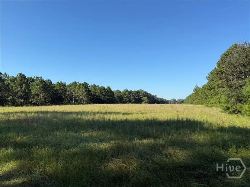 Lots & Land-Other in Claxton