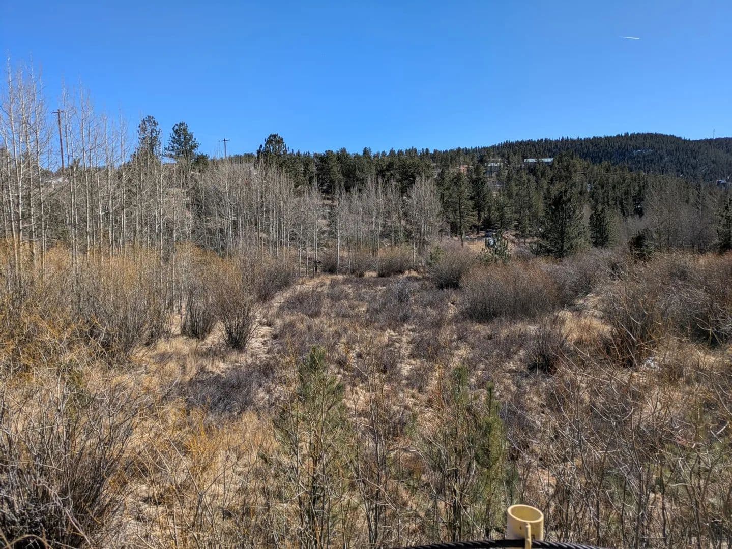 Vacant Land (0-10 Acres) in Bailey - Bailey, Colorado, 80421