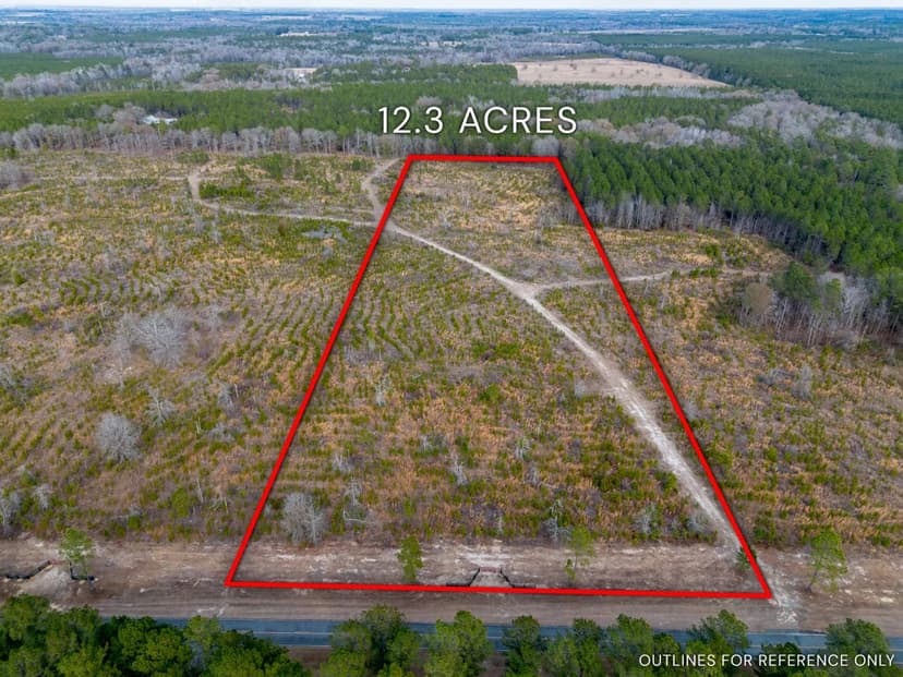 12.30 Acres - Cox Tract 4 in Dodge, GA	
