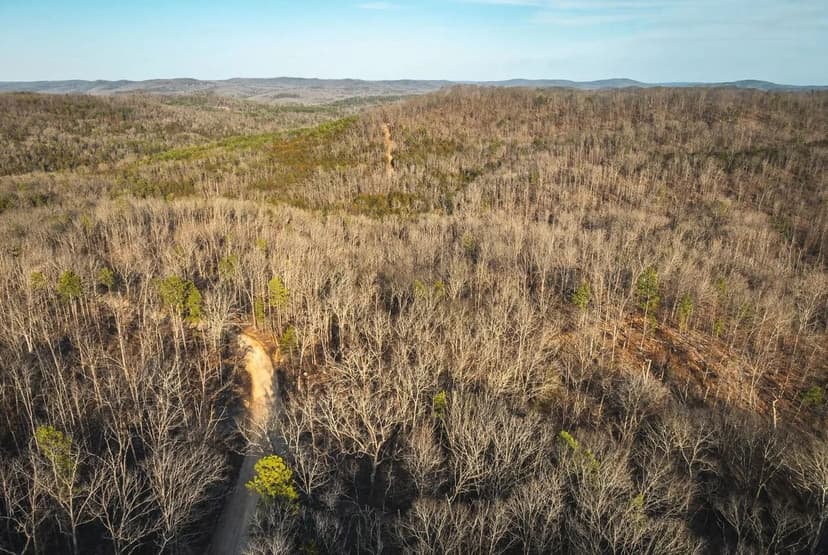 Angeline Acres at Eminence