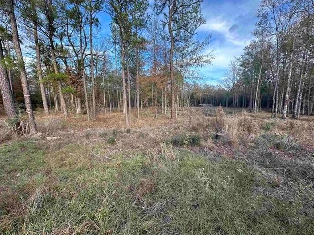 Land -Single Family Acreage in Buna - Buna, Texas, 77612