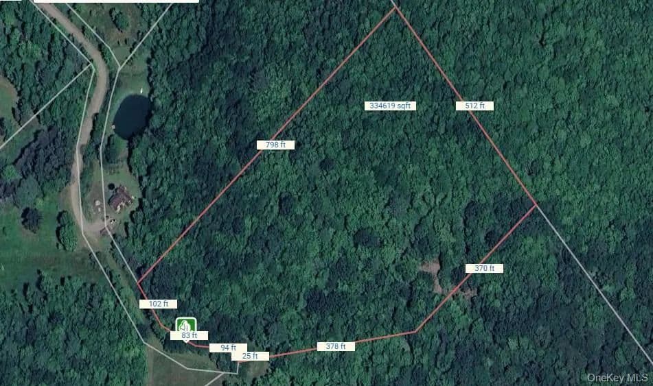 Vacant Land in Franklin - Franklin, New York, 13775