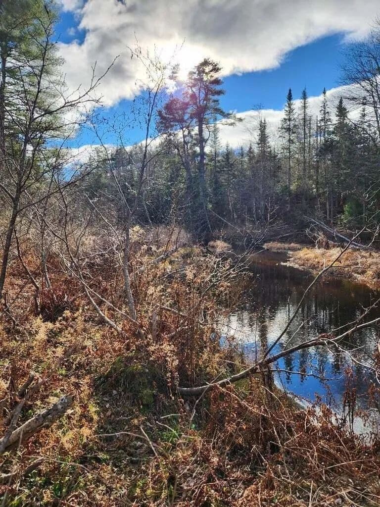Vacant Land in Belfast - Belfast, Maine, 04915