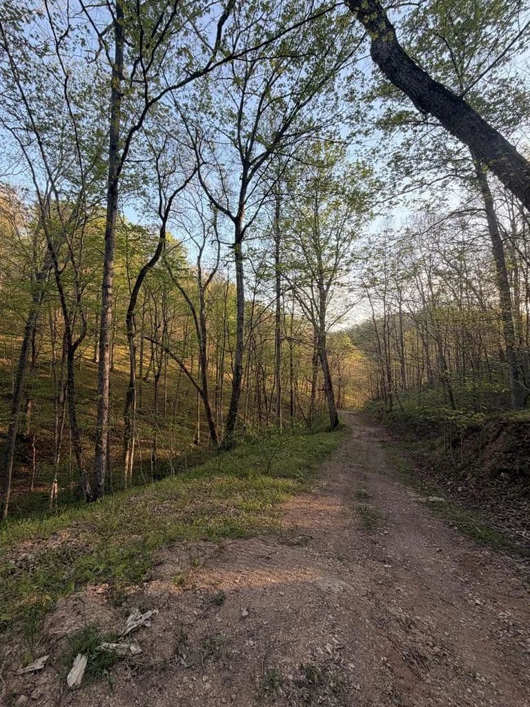 Lots & Land-Other in Vinton