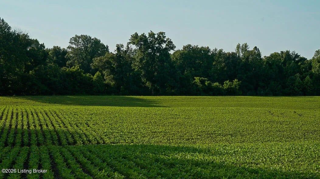 Property from 0 KY-405 - KW - Maceo, Kentucky, 42355