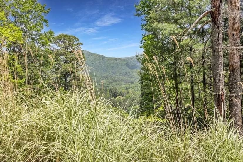 Lots & Land-Other in Blairsville
