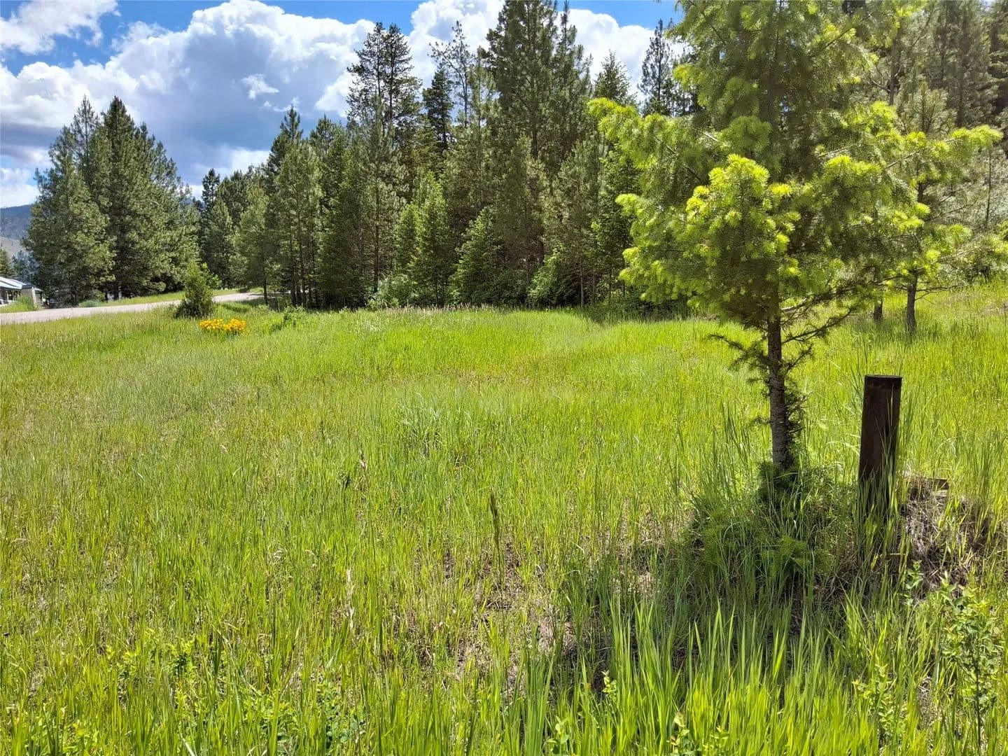 Property from Lot 5 Tami Drive E - KW - Superior, Montana, 59872