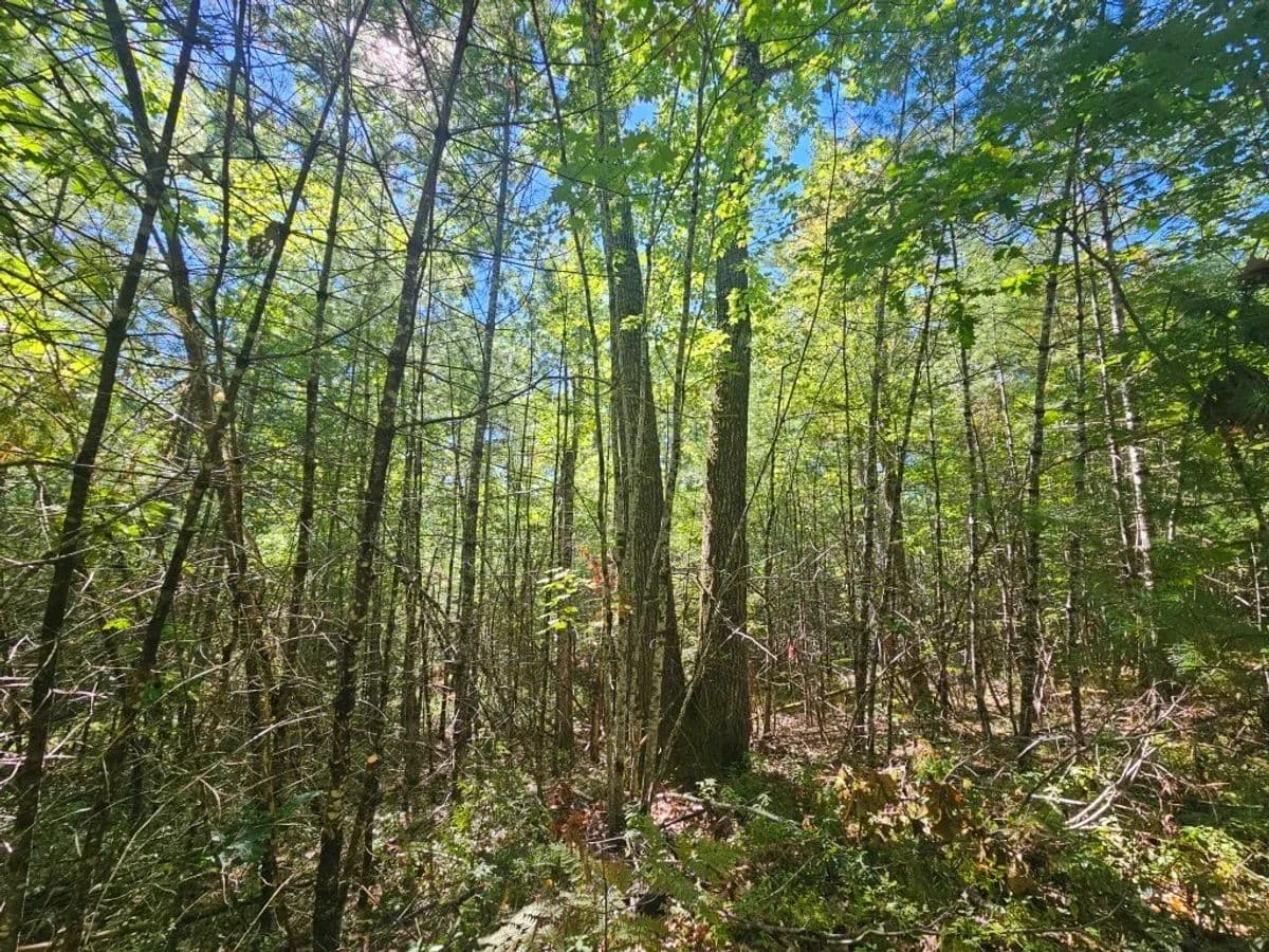 Standish, Lot 9F Pequawket Trail - 3.22 acres - Standish, Maine, 04084