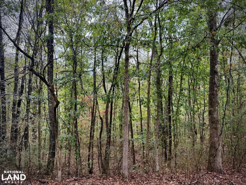 Scott Road/Old Bankhead Hwy Homestead Tract
