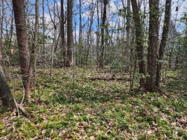 10.79 AC – WOODED – IN MTN MAN WORLD – SECLUDED - PRIVATE – LOADS OF WILDLIFE – CLOSE TO BRIMSTONE PARK