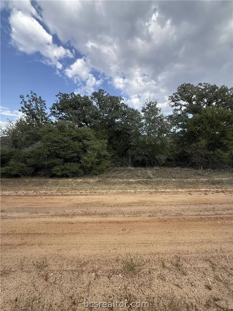 Vacant Land in Hilltop Lakes - Hilltop Lakes, Texas, 77871