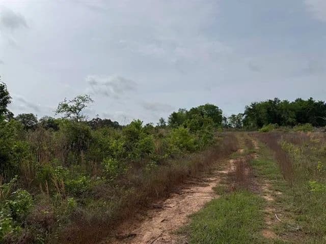 Vacant Land (10+ Acres) in Henderson - Henderson, Texas, 75652