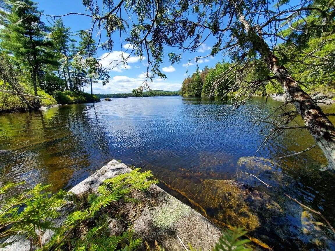 23.7 Acres of Land for Sale in Beddington, Maine - Beddington, Maine, 04622