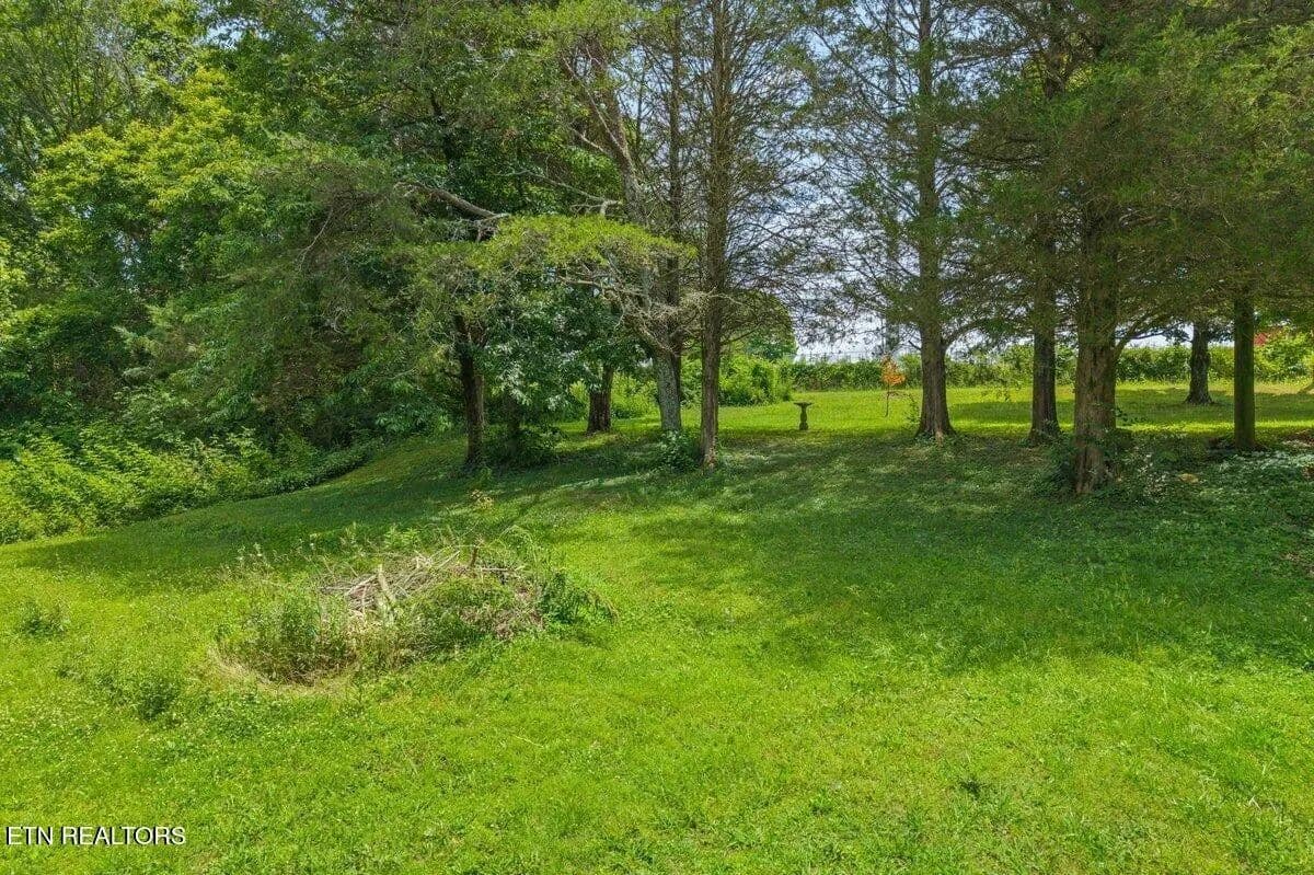 Vacant Land in Englewood - Englewood, Tennessee, 37329