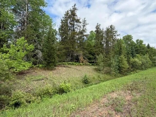 40 Acres of Land for Sale in Trout Lake, MI - Trout Lake, Michigan, 49793