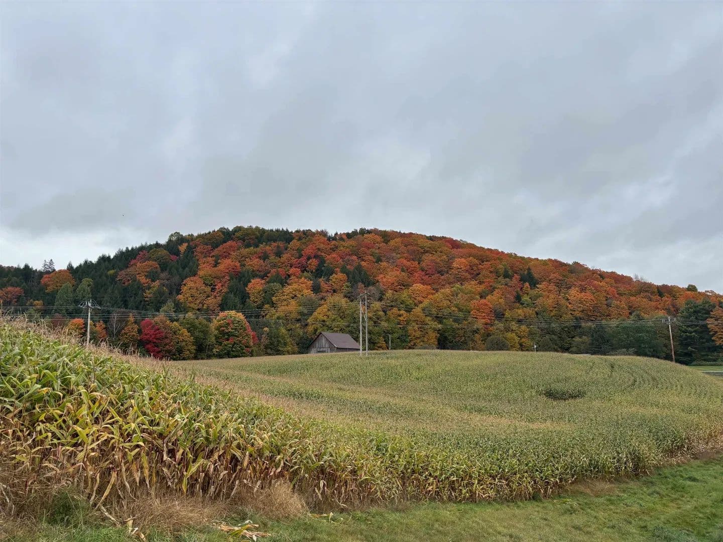 Lots & Land-Other in Lyndon - Lyndon, Vermont, 05851