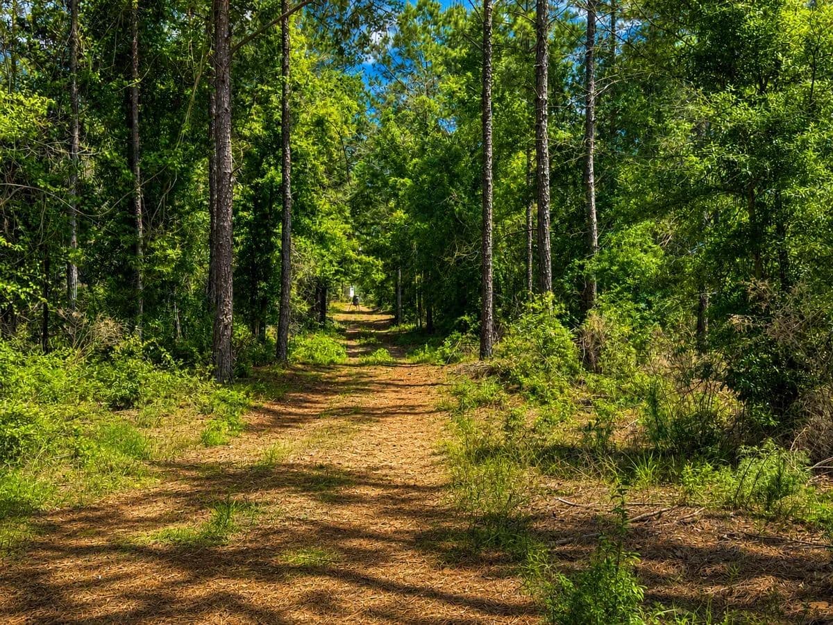 Garrett Knighten - Blakely, Georgia, 39823