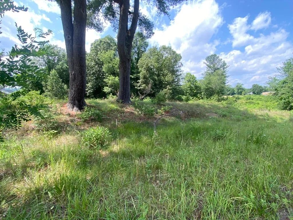 Vacant Land in Southwick - Southwick, Massachusetts, 01077