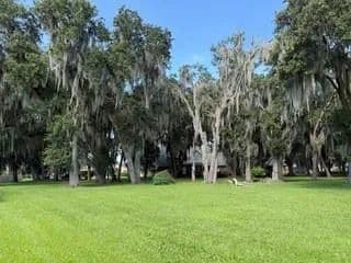 Vacant Land in Belle Chasse - Belle Chasse, Louisiana, 70037