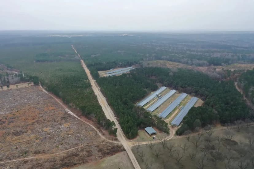 Broken Arrow Broiler Farm – Six House Broiler Farm in Chesterfield Co, SC