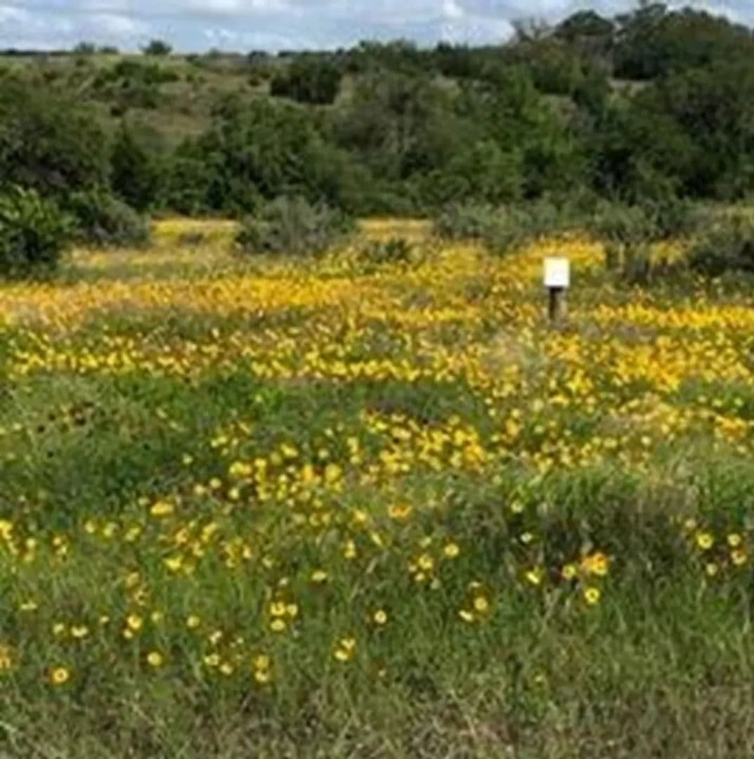 5.88 Acres of Land for Sale in Johnson City, TX - Johnson City, Texas, 78636