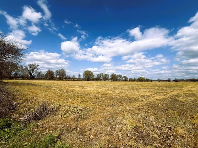 Online Auction – 59+/- Acres of Prime Tillable Farmland