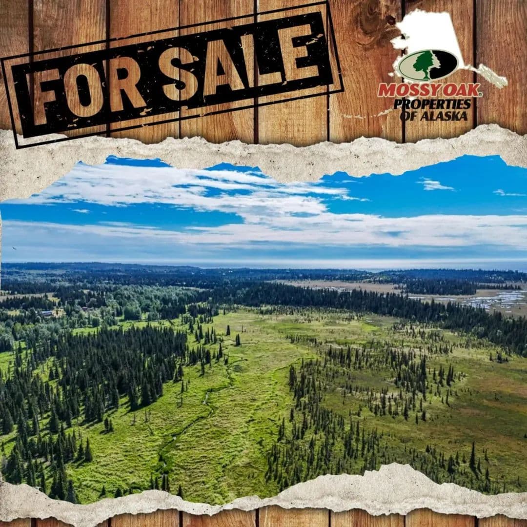 80 ac  & North Fork Anchor River Anchor Point AK - Anchor Point, Alaska, 99556