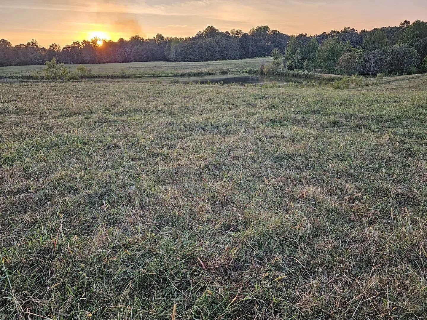 Land -Agricultural (Not Zoned) in Tuscumbia - Tuscumbia, Alabama, 35674