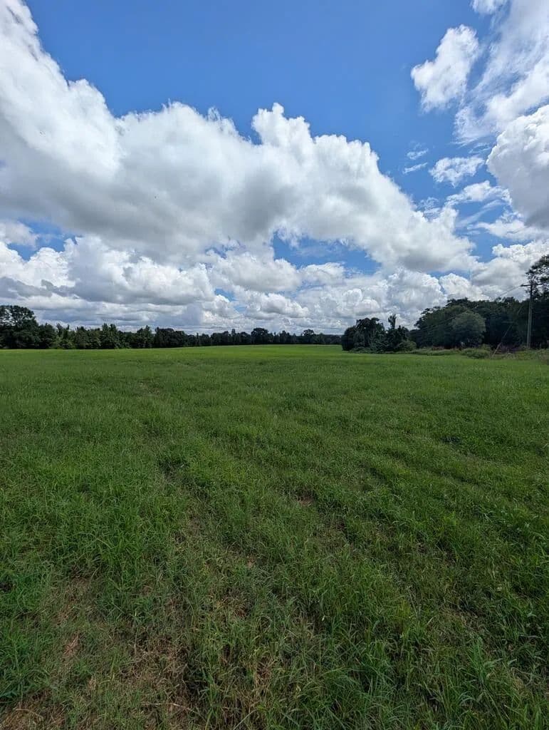 40 Acres of Land for Sale in Ariton, AL - Ariton, Alabama, 36311