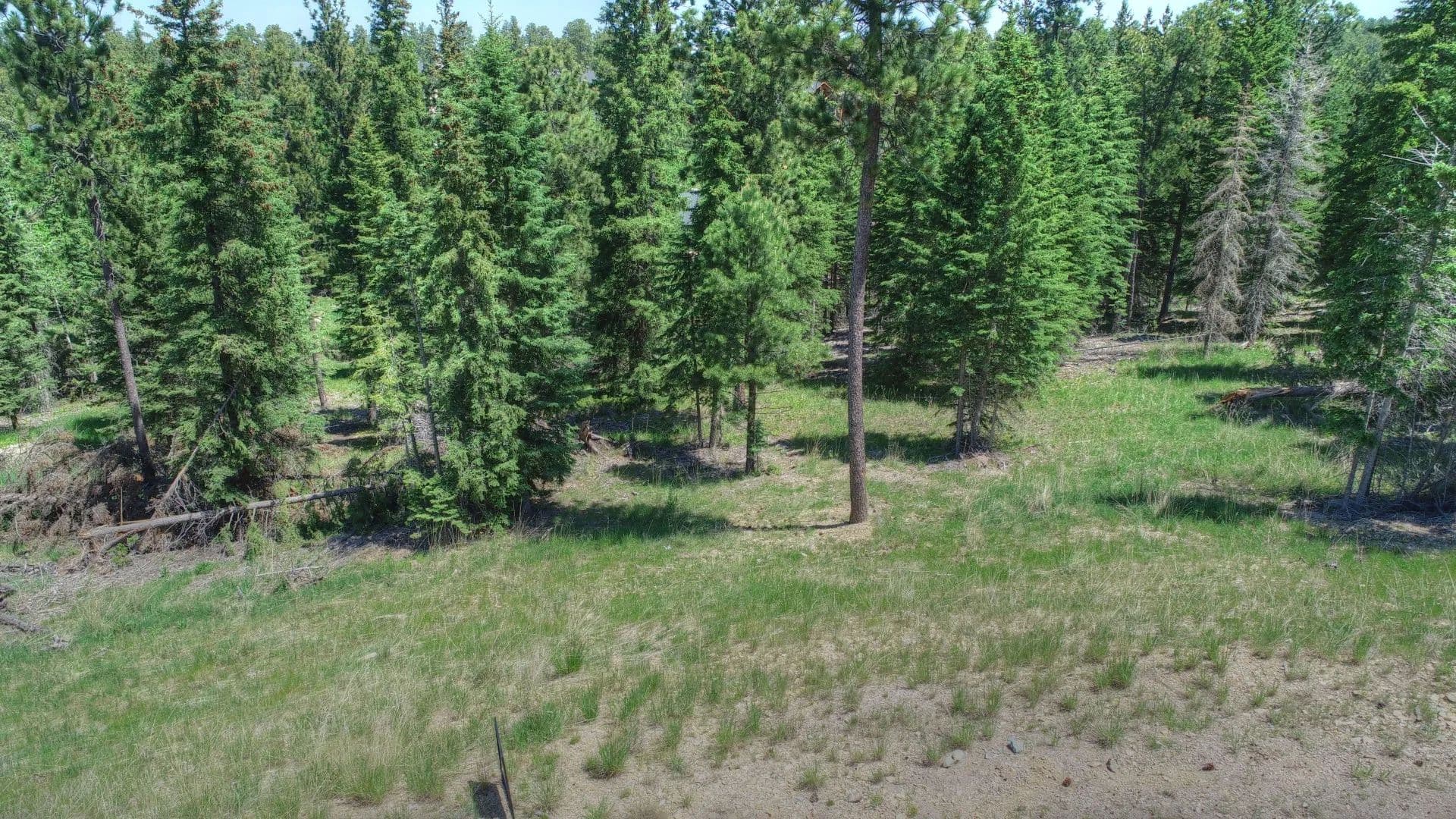 Land -Single Family Acreage in Lead - Lead, South Dakota, 57754