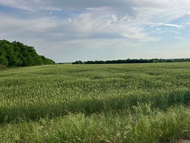 Vacant Land in Temple - Temple, Texas, 76501