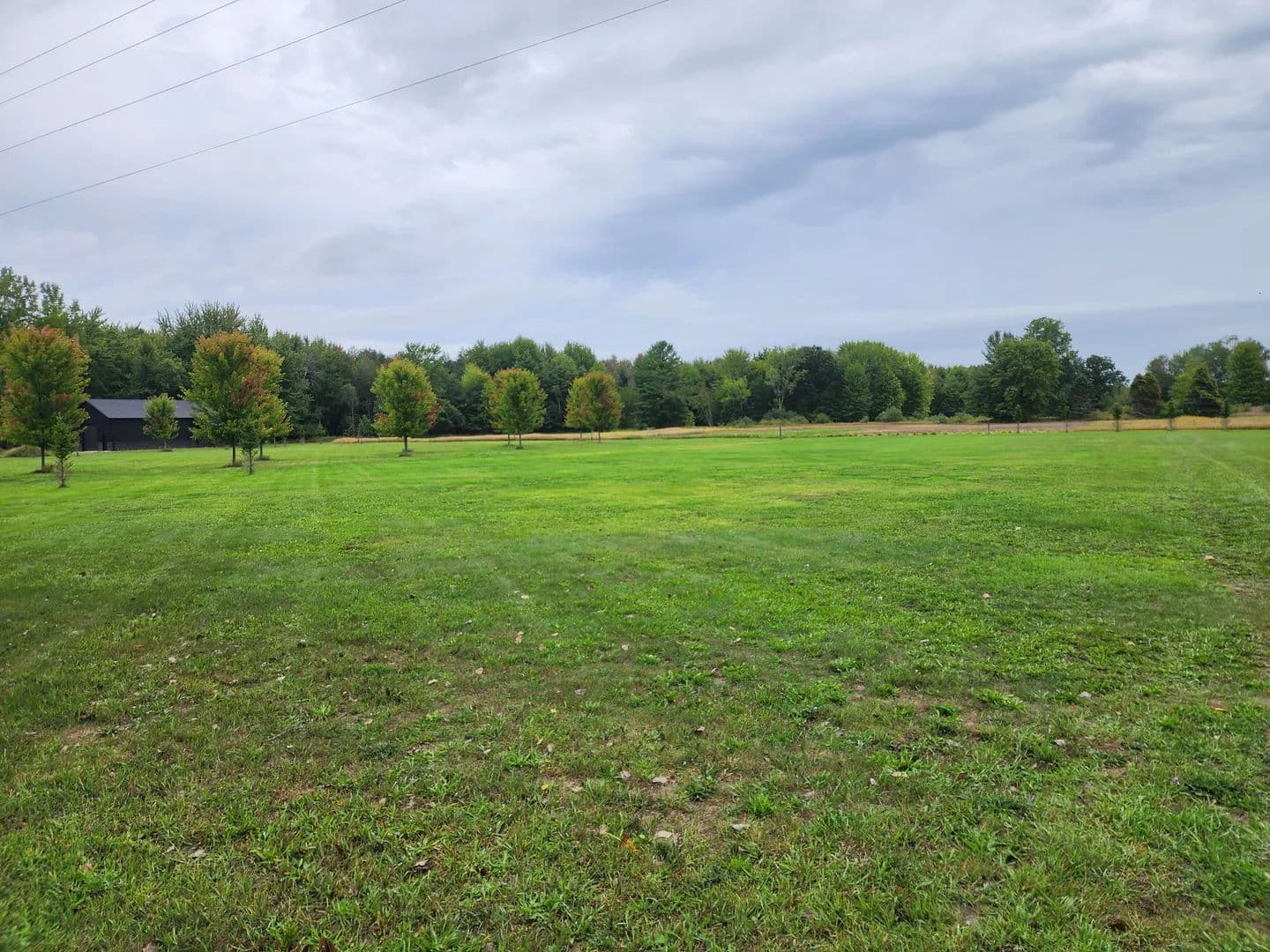 Vacant Land in Mt Pleasant - Mt Pleasant, Michigan, 48858