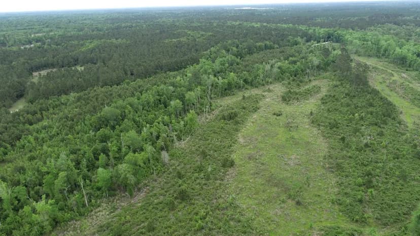 Forest River Tract 16