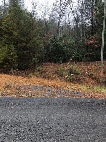 Vacant Land in Ellijay - Ellijay, Georgia, 30540