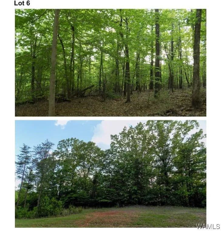 Property from 6240 Garner Road - KW