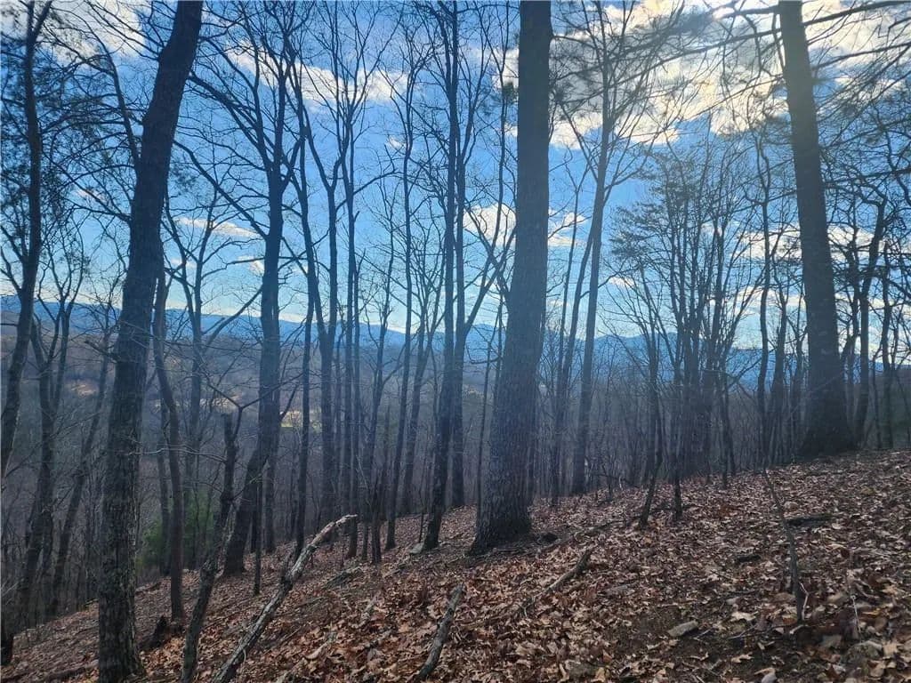 14.4 Acres of Land for Sale in Blairsville, Georgia - Blairsville, Georgia, 30514