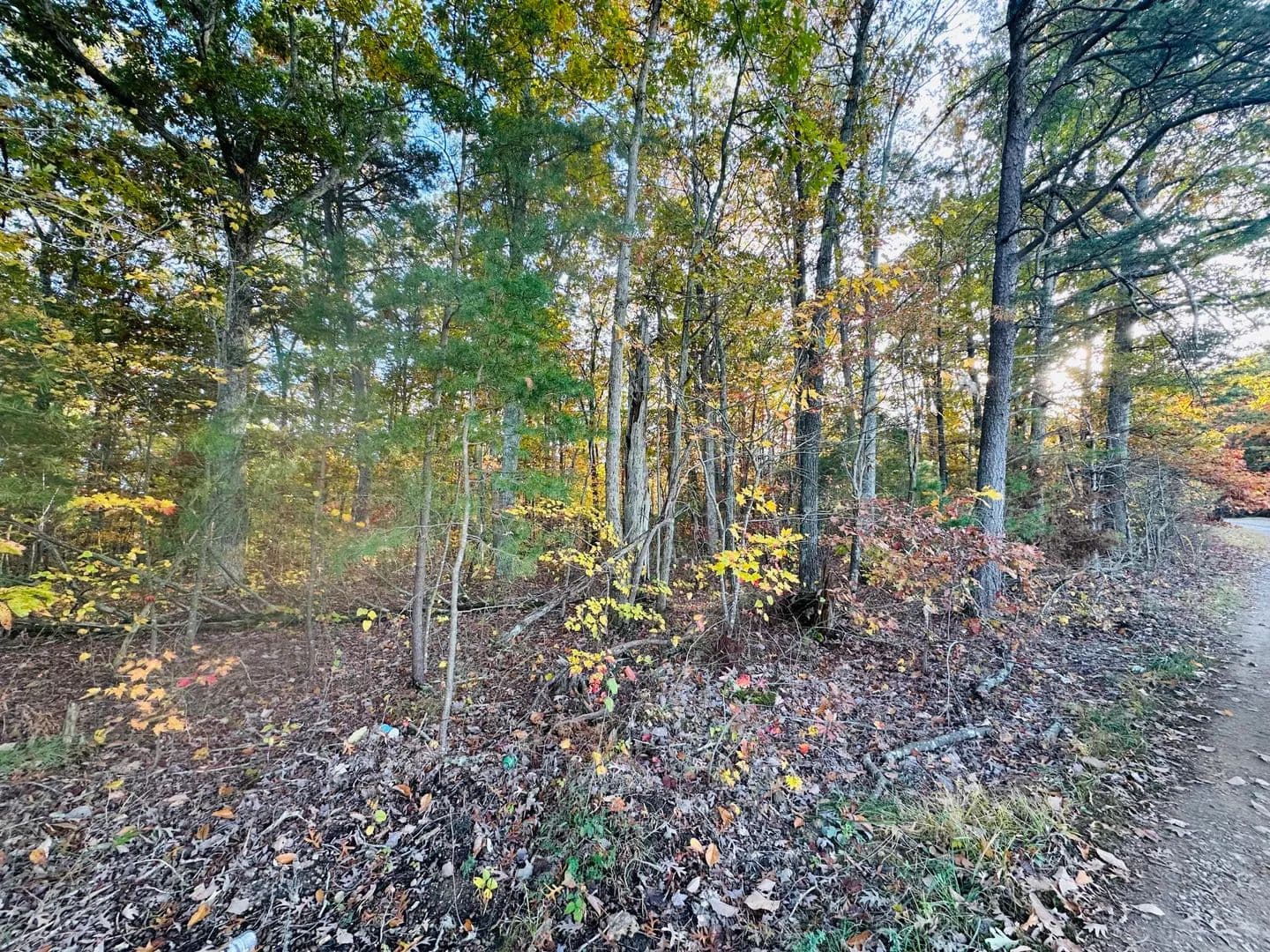 Property from Tract 2 Sam Baughman Rd - KW - Stanford, Kentucky, 40484