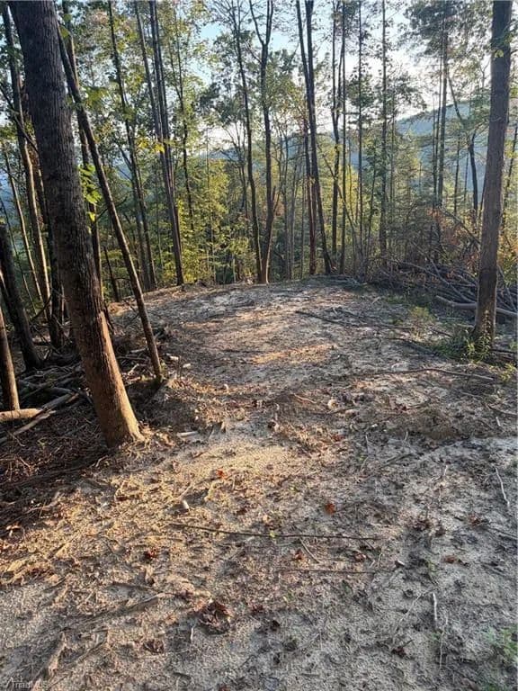 Vacant Land in Millers Creek - Millers Creek, North Carolina, 28651