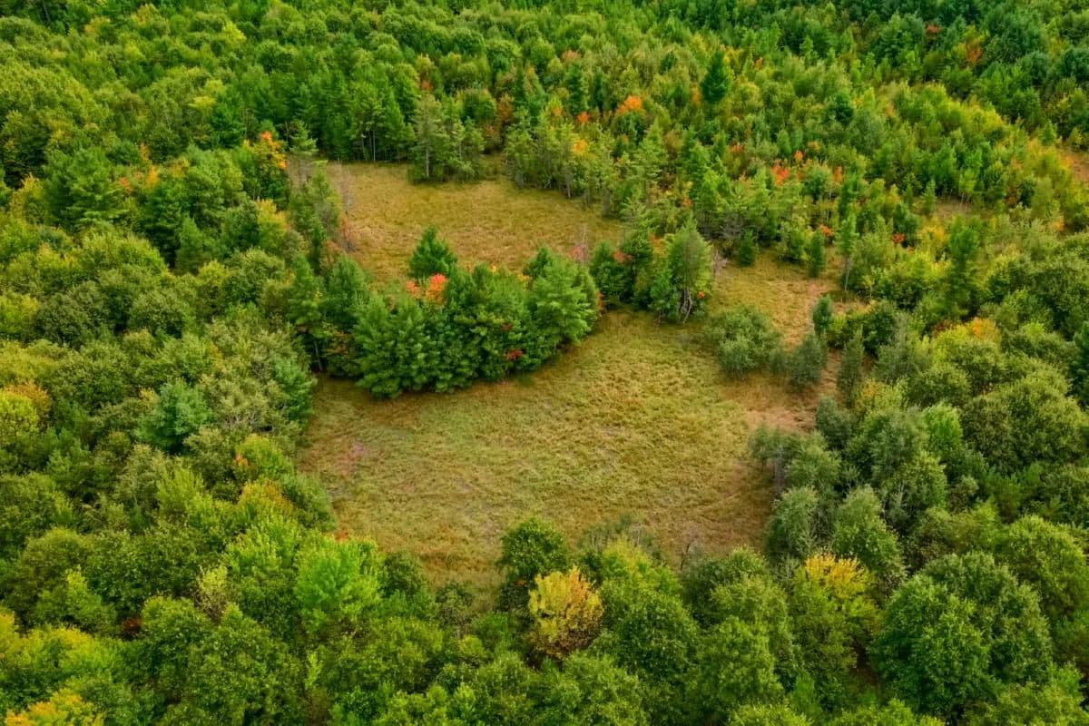84± acres of heavily timbered recreational and hunting land in Eau Claire County - Augusta, Wisconsin, 54729