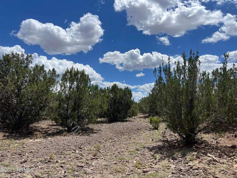 Lots & Land-Other in Williams