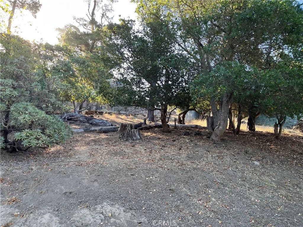 Vacant Land in Cambria - Cambria, California, 93428