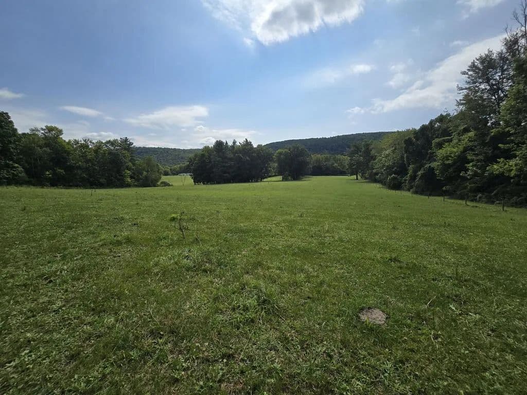 Vacant Land in Sayre - Sayre, Pennsylvania, 18840