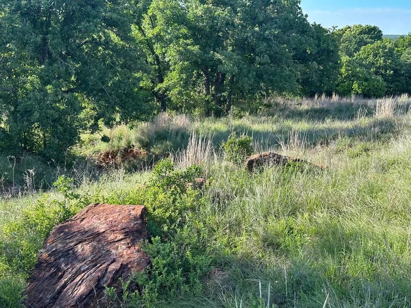 21 ± Acres for Sale, Hunting and Recreation Ranch, Loco, Oklahoma, Stephens County.