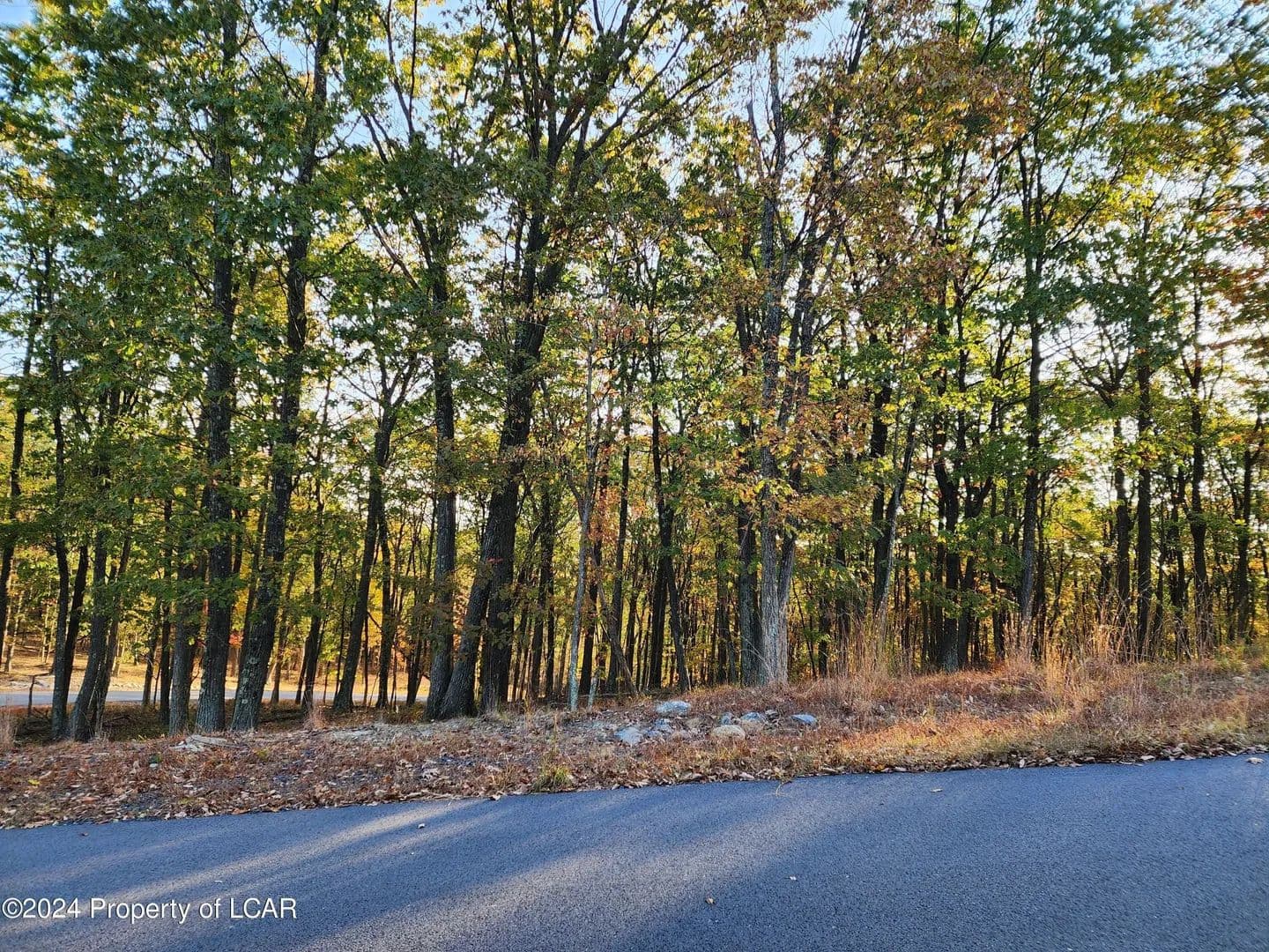 Lots & Land-Other in East Union Township - Pennsylvania, 18202