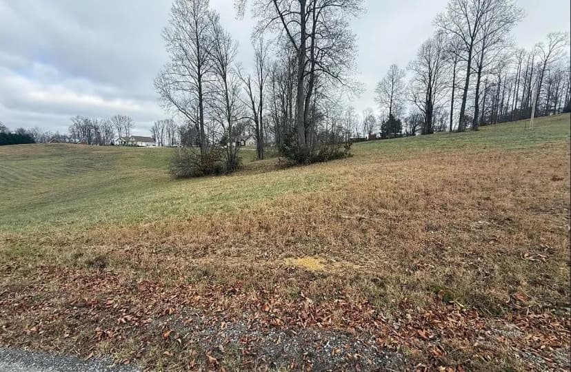 Land -Single Family Acreage in Jonesville