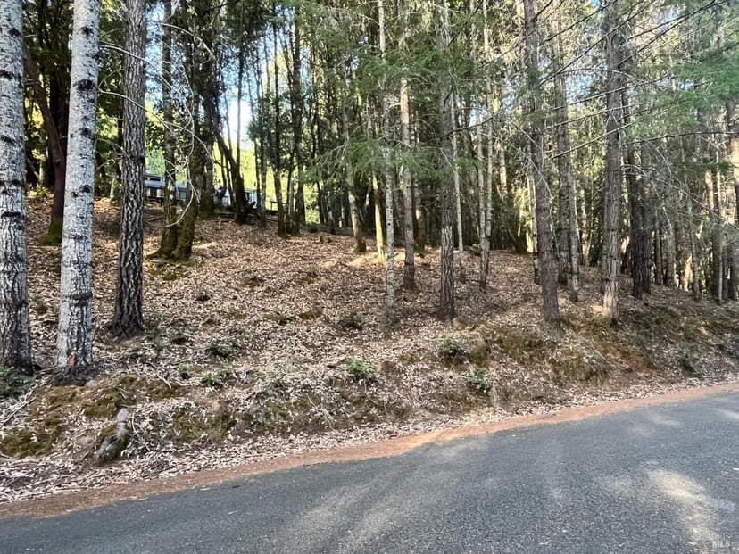 Lots & Land-Other in Willits