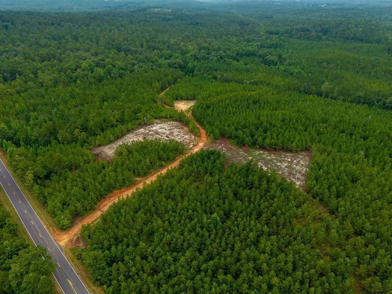 Lightwood 3, 30 Acres in Chilton County, Verbena Alabama - Verbena, Alabama, 36091