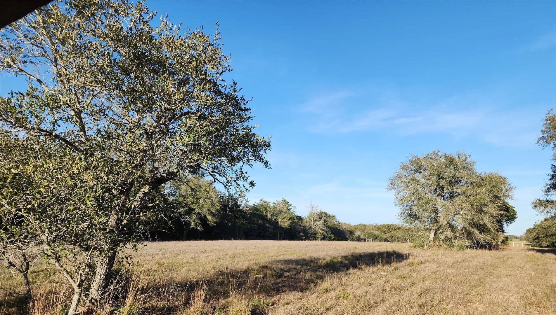 Vacant Land in Hallettsville - Hallettsville, Texas, 77964