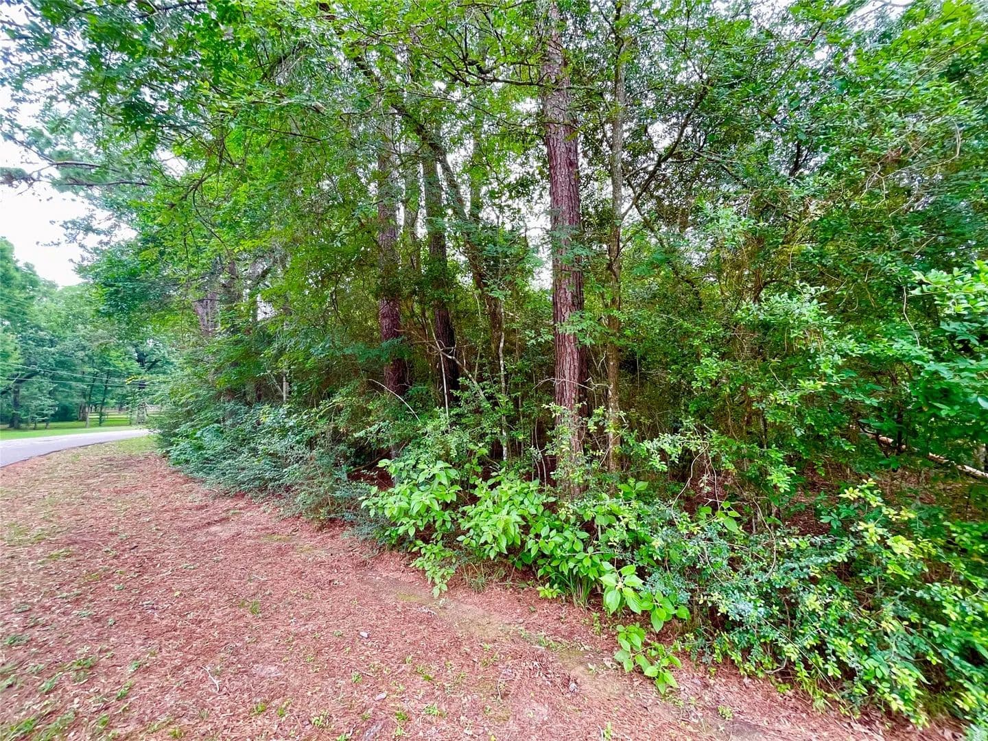 Property from 30803 Green Forest - KW - Magnolia, Texas, 77354